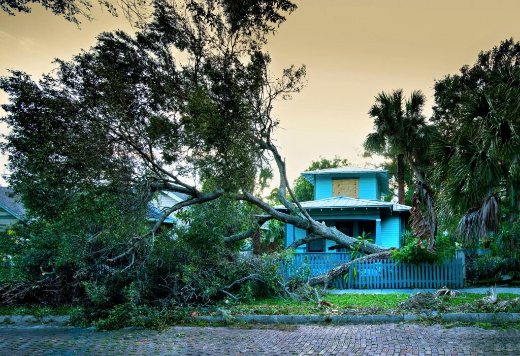 swfl-storm damage tree down